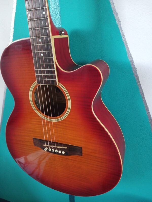 Guitarra Electroacustica Palmer Pf24ec-pk1-wb/cs usada - Image 11