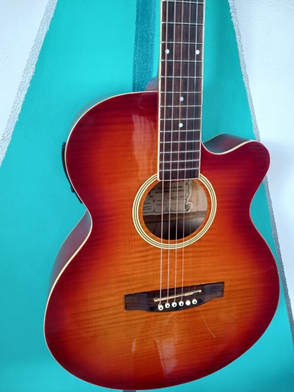 Guitarra Electroacustica Palmer Pf24ec-pk1-wb/cs usada