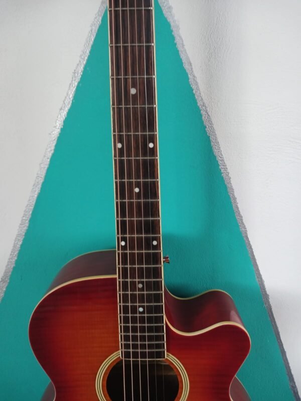 Guitarra Electroacustica Palmer Pf24ec-pk1-wb/cs usada - Image 9